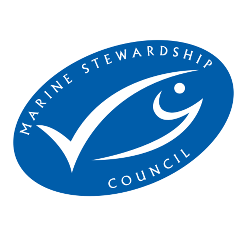 msc